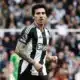 Sandro Tonali newcastle