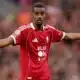 Alexander Isak liverpool